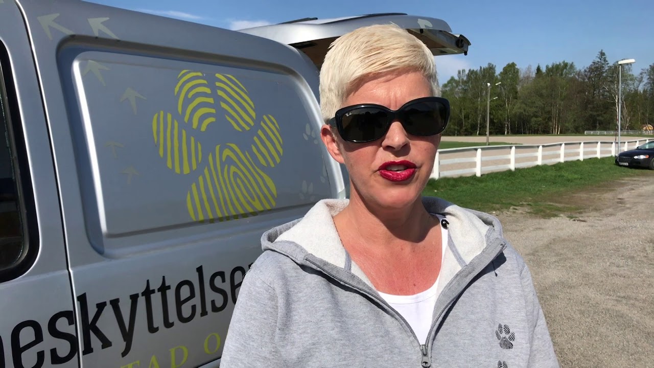 AMCAR Sarpsborg veldedighetscruise for dyrebeskyttelsen Fredrikstad og omegn