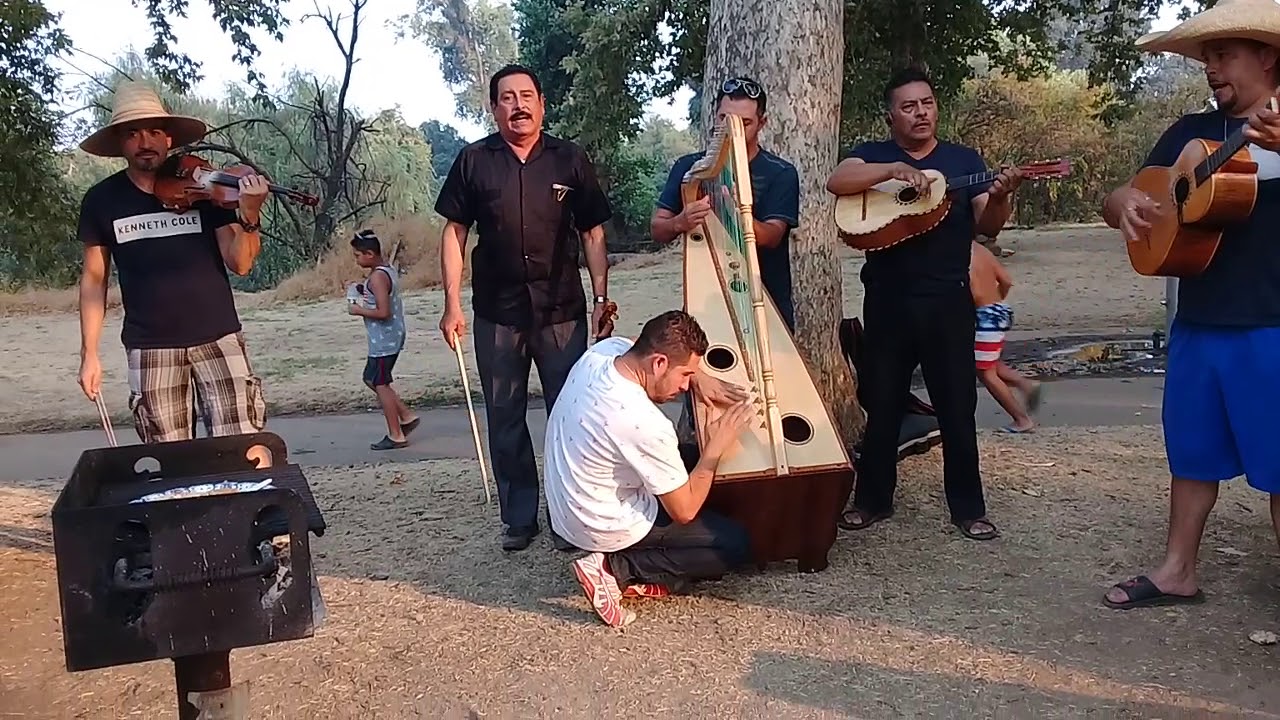 Maracumbe. Arpa grande. Tamboreo Omar González. Video Luis Baltazar