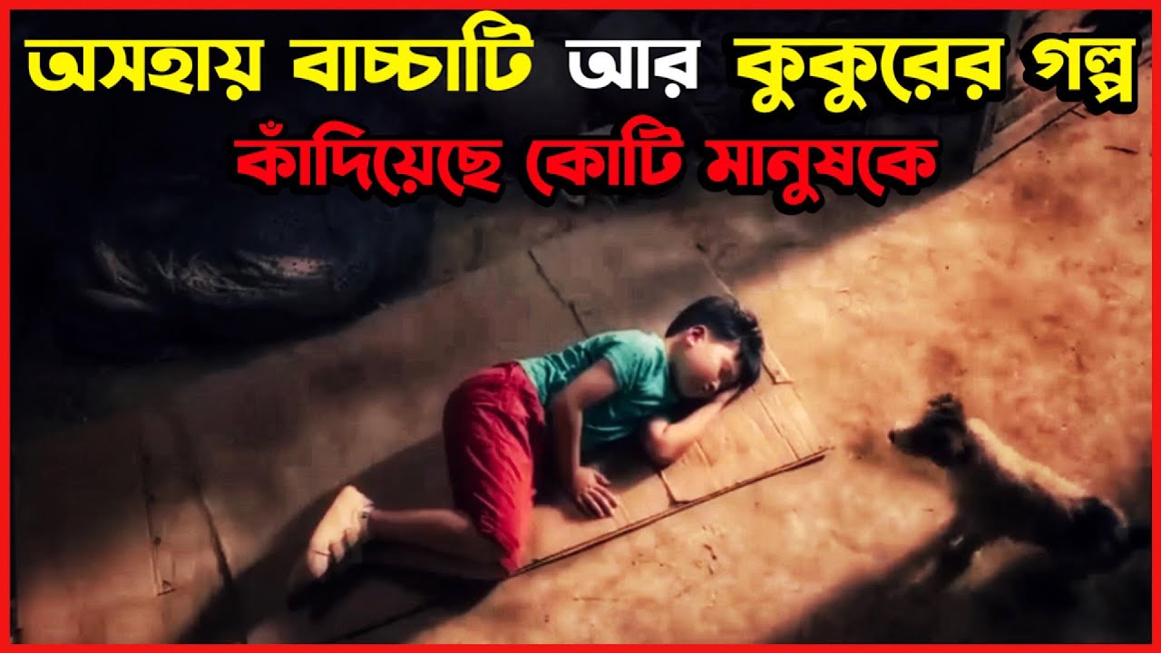 ( যে সিনেমার গল্পে কাঁদেনি এমন মানুষ খুজে পাওয়া কঠিন ) The Little Dog Chinese Movie Bangla Explained