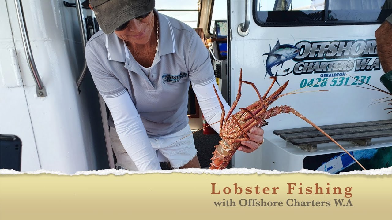 Lobster Fishing with Offshore Charters W.A || Geraldton Western Australia