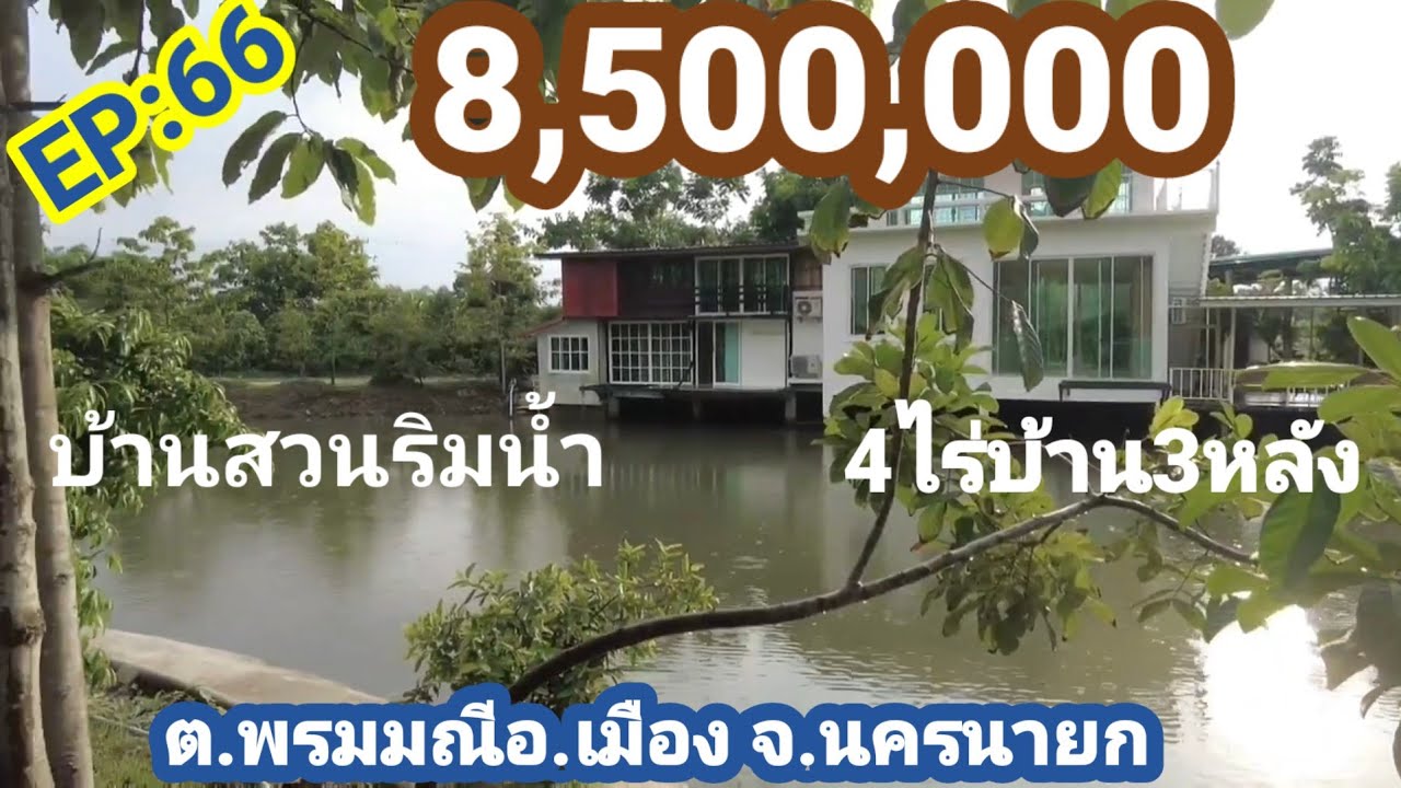 ขายแล้วEP:66#บ้านริมน้ำ3หลังพร้อมสวน(ทุเรียน80ต้น)เนื้อที่4ไร่ราคา8.5ลบ.ใกล้ถนน305.ต.พรมมณีจ.นครนายก