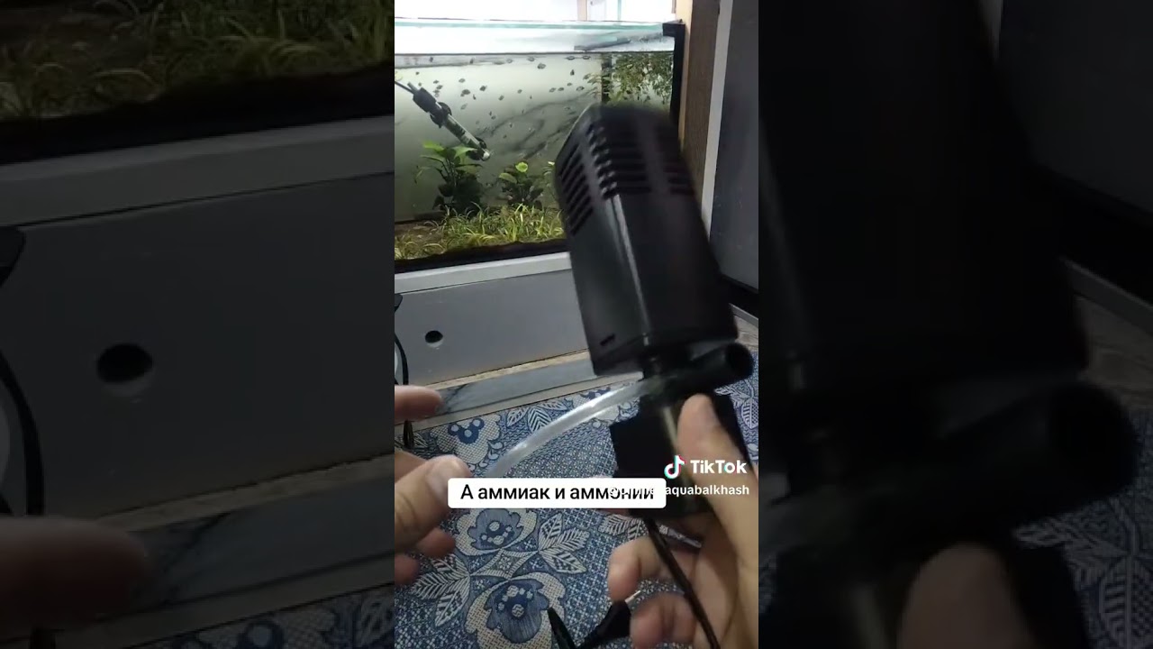 Выбираем наполнитель для фильтра  #аквариум #аквариум #aquarium #aqua  #рыба #наполнитель