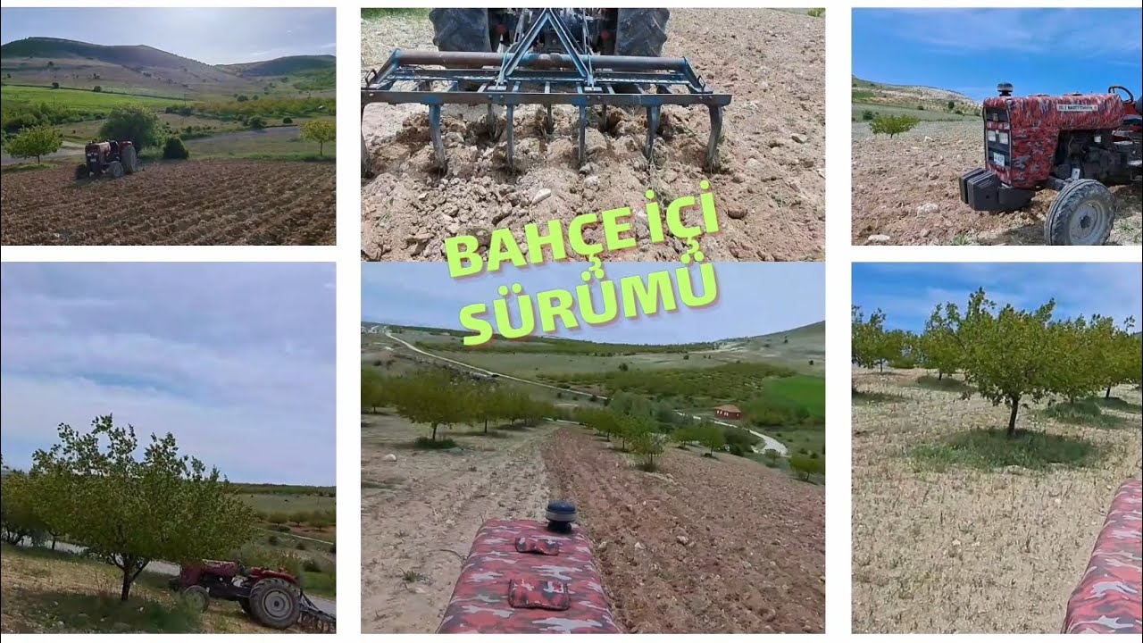KAYISI BAHÇE İÇİ SÜRÜMÜ🏕#bahçe #bahar #keşfet #keşfetteyiz #traktor #keşfetbeniöneçıkar #tarla