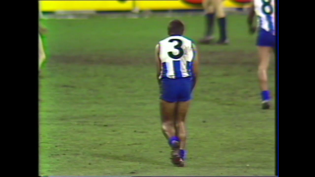 1985 Round 14 - Jim Krakouer great mark and torpedo goal