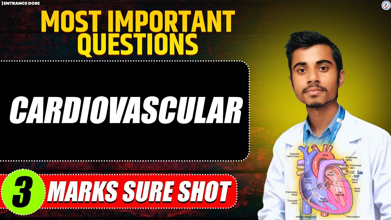 Cardiovascular System Important Questions For Cee😲| All Important Past Questions | RRR 5.0 Special 🔥