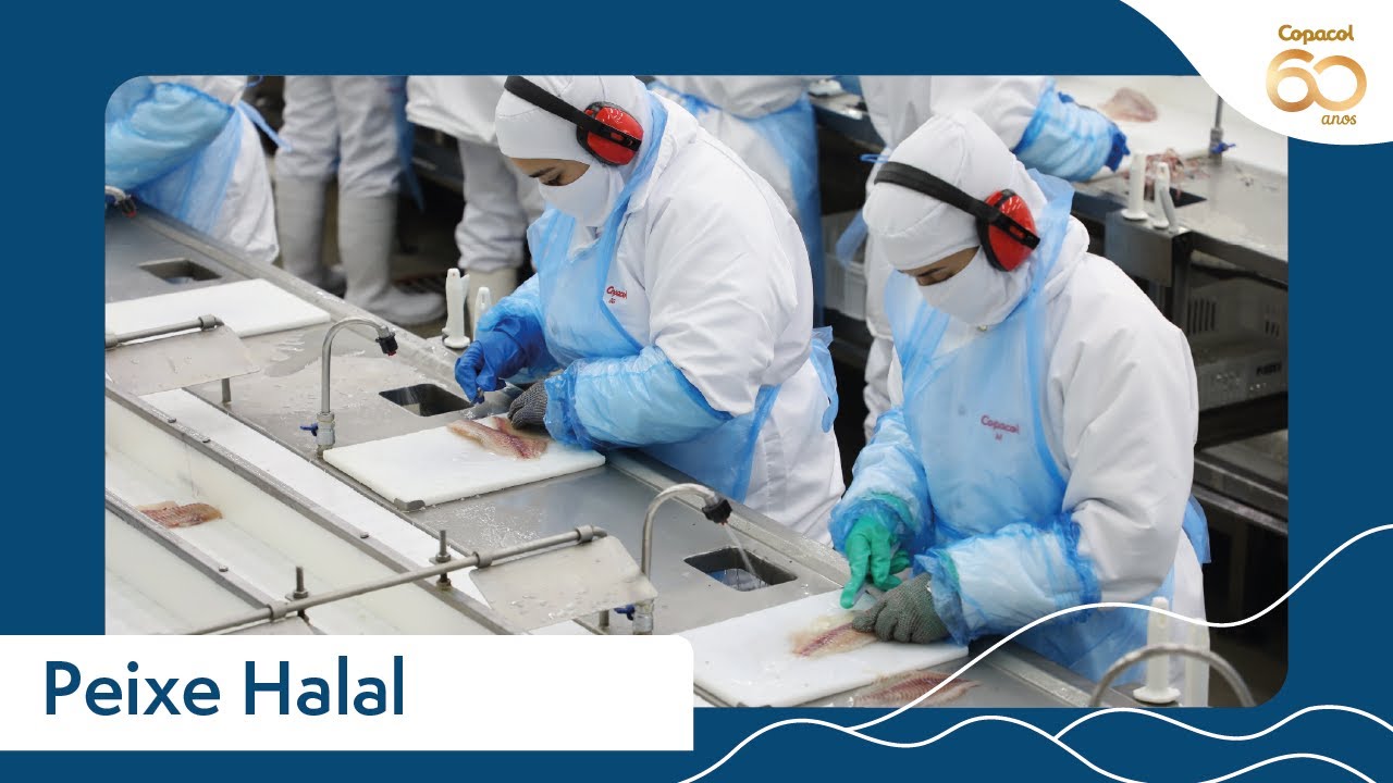 Venha conhecer como funciona o processo halal na piscicultura
