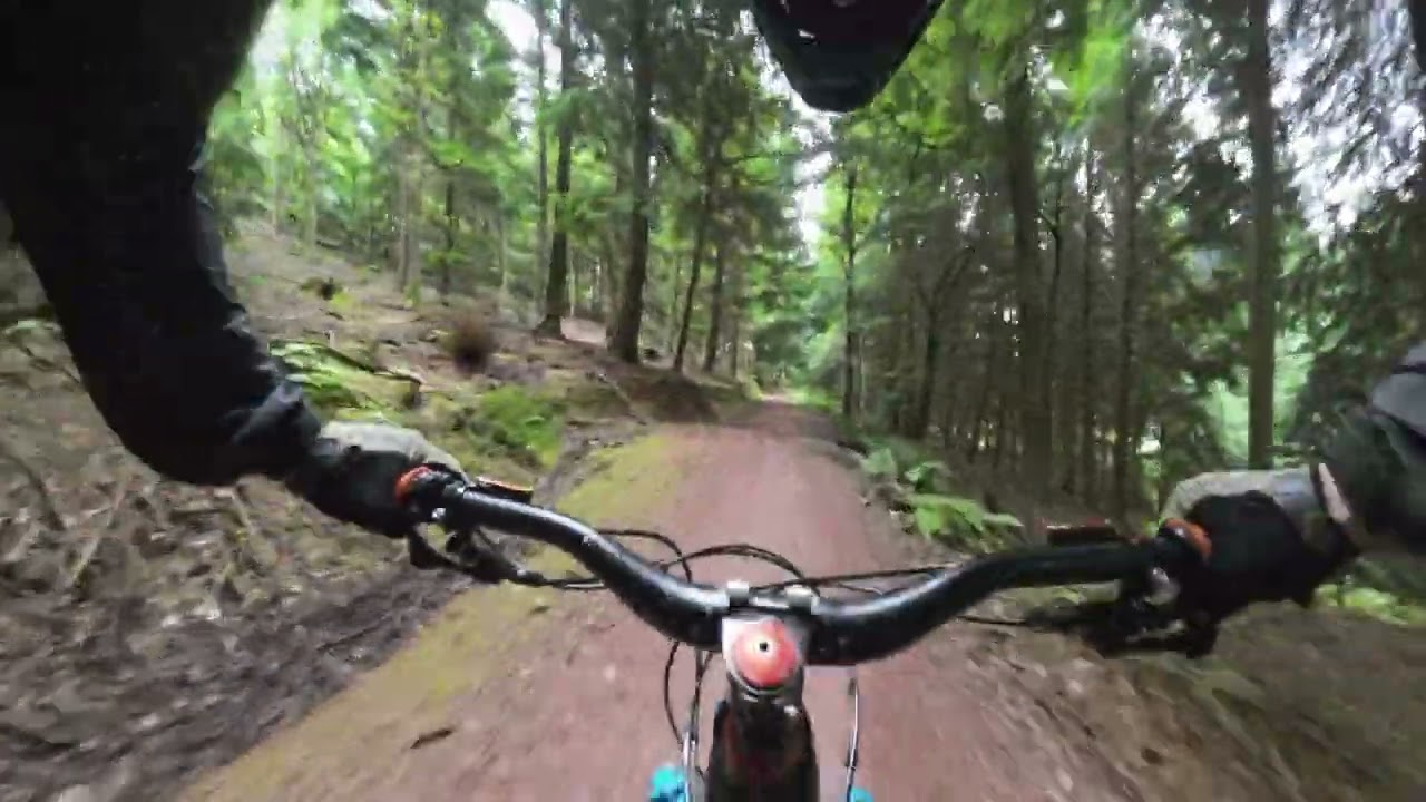 Making the rain enjoyable at the Forest Of Dean