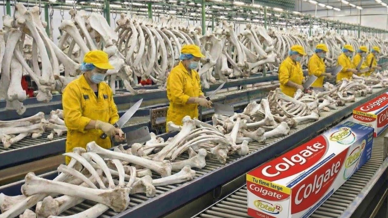 De huesos de animales a pasta de dientes: Dentro de la famosa f&aacute;brica de Colgate (proceso completo)