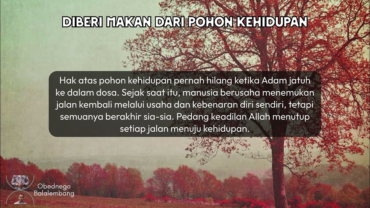 DIBERI MAKAN DARI POHON KEHIDUPAN