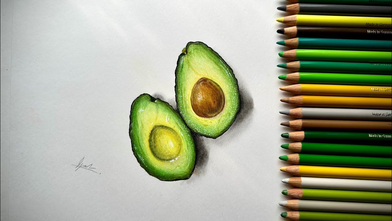 Drawing of Avocado/ Realistic drawing of Avocado. 