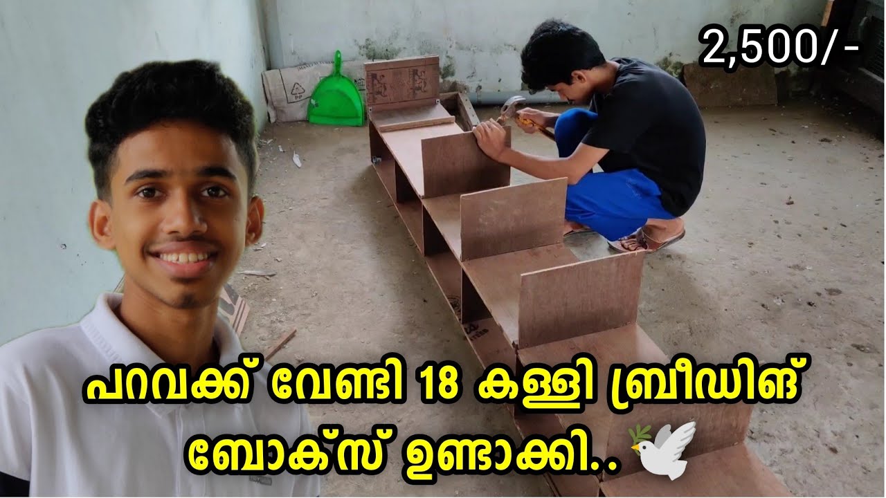 പറവക്ക് വേണ്ടി 18 കള്ളി Breeding Box ഉണ്ടാക്കി..🕊️ | Cage Making Video 🔥 | Sinan CT
