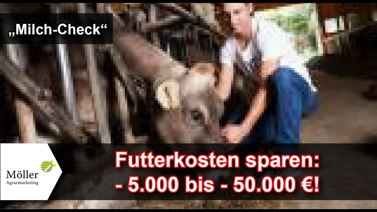 Wie Milchviehbetriebe jedes Jahr 5.000 - 50.000 &euro; sparen - K&uuml;he erfolgreich f&uuml;ttern + melken | #1