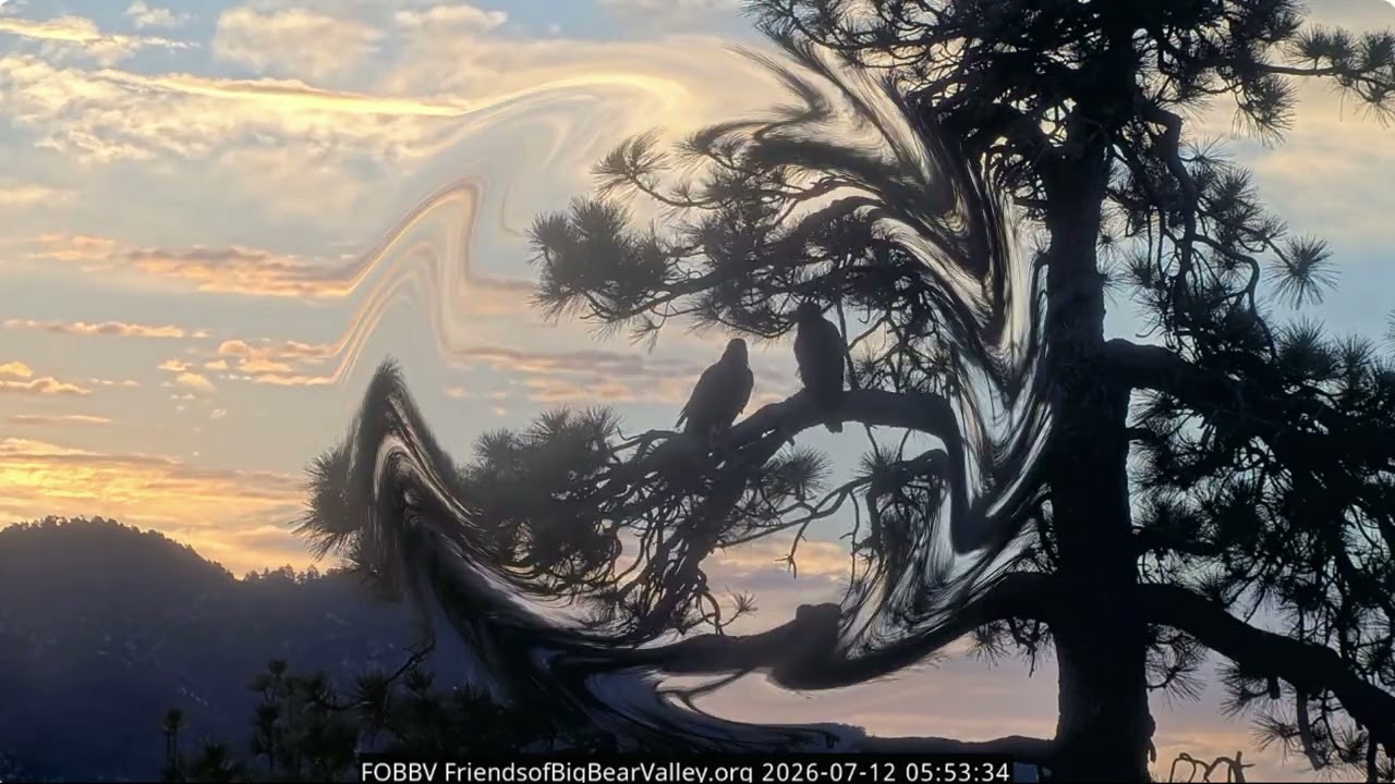 Sunday morning in the Big Bear Valley 12.07.2026 @FOBBVCAM