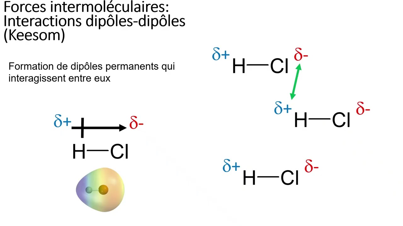 1 1  Polarit&eacute; et forces intermol&eacute;culaires