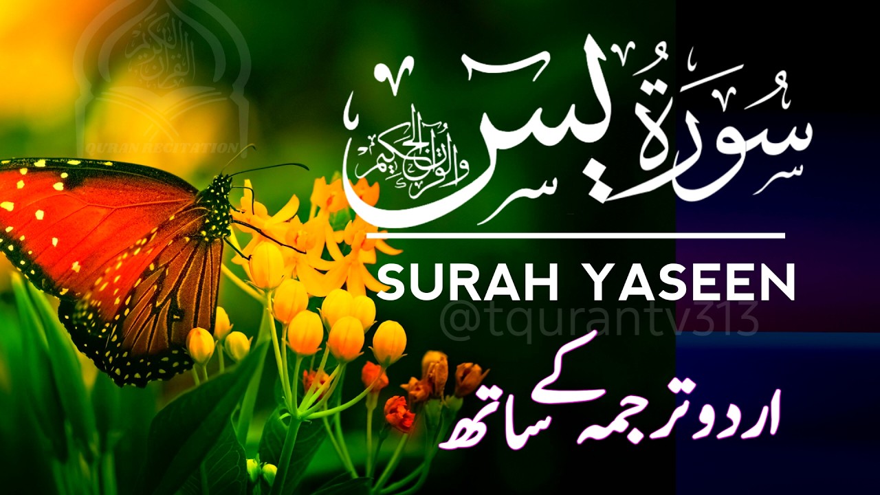 Surah Yaseen | Full Recitation With Urdu Translation | EP-143
