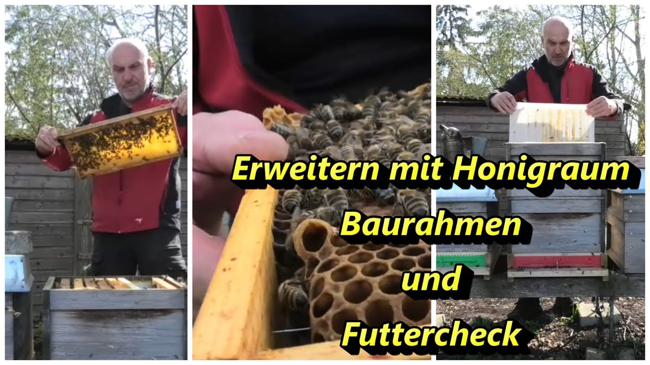 Erweitern mit Honigraum, Baurahmen und Futtercheck fast uncut