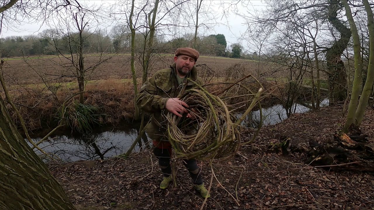 Bushcraft - Survival skills - Clematis 