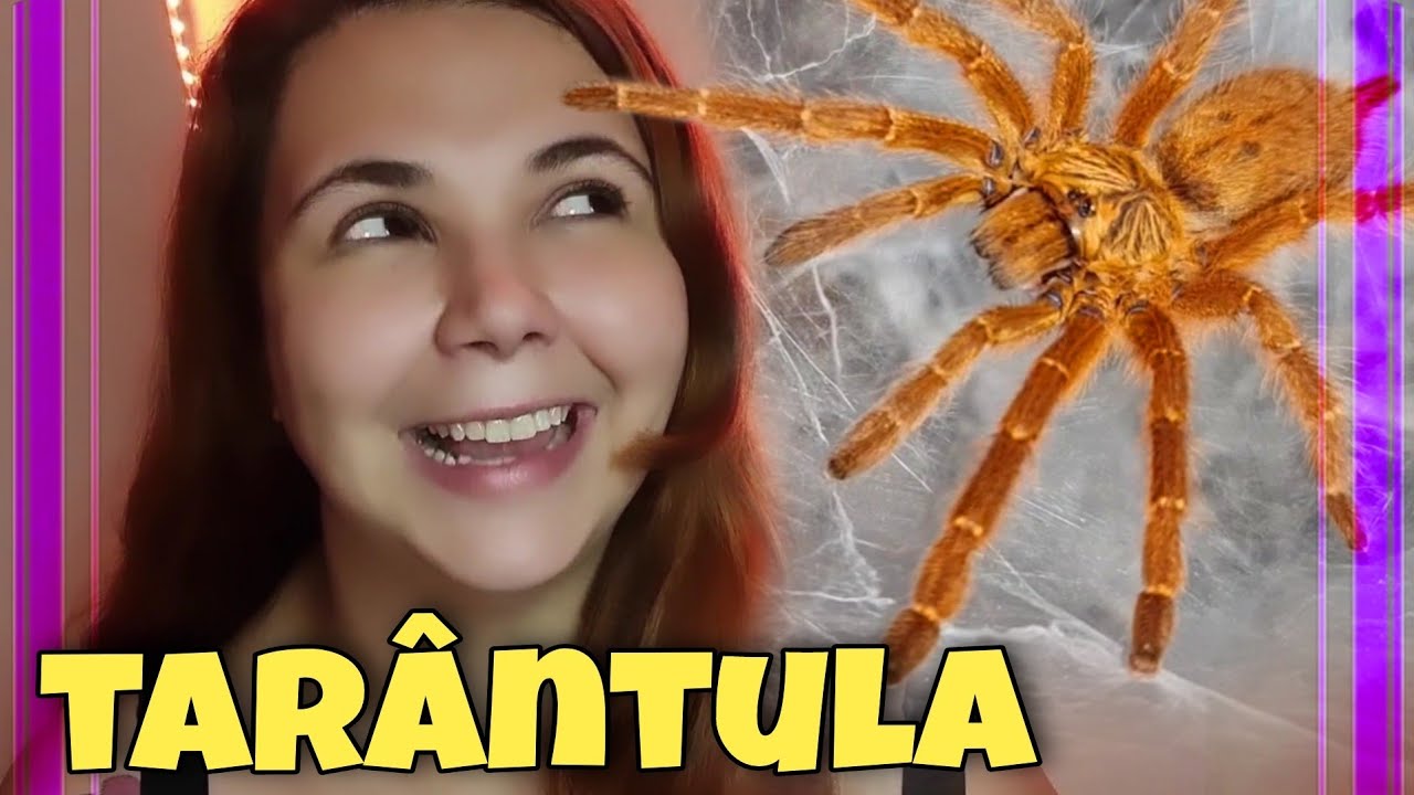 🕷 Alimentando minha tarantula de estimação / OBT hunting spider