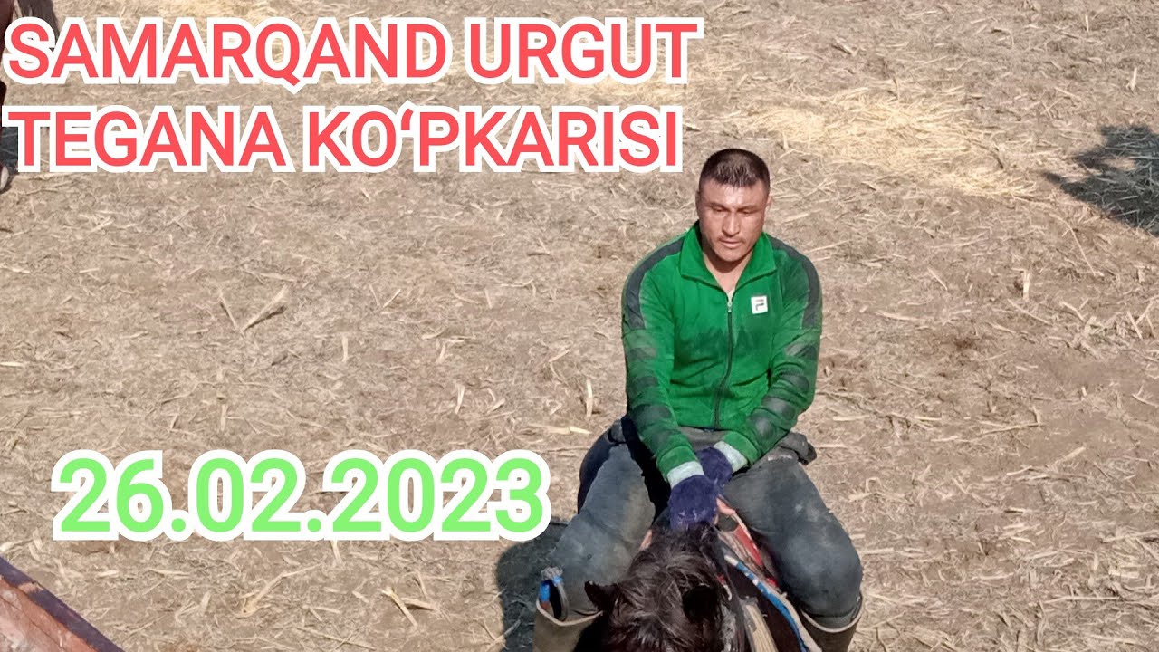 SAMARQAND URGUT TEGANA MAHALLA KOʻPKARISI 26.02.2023