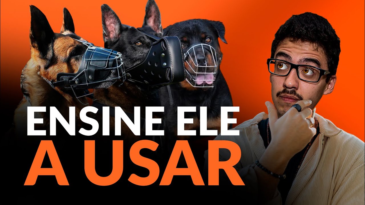 Como ensinar o cachorro a usar a FOCINHEIRA? | Adestramento Online | Cão Guardião