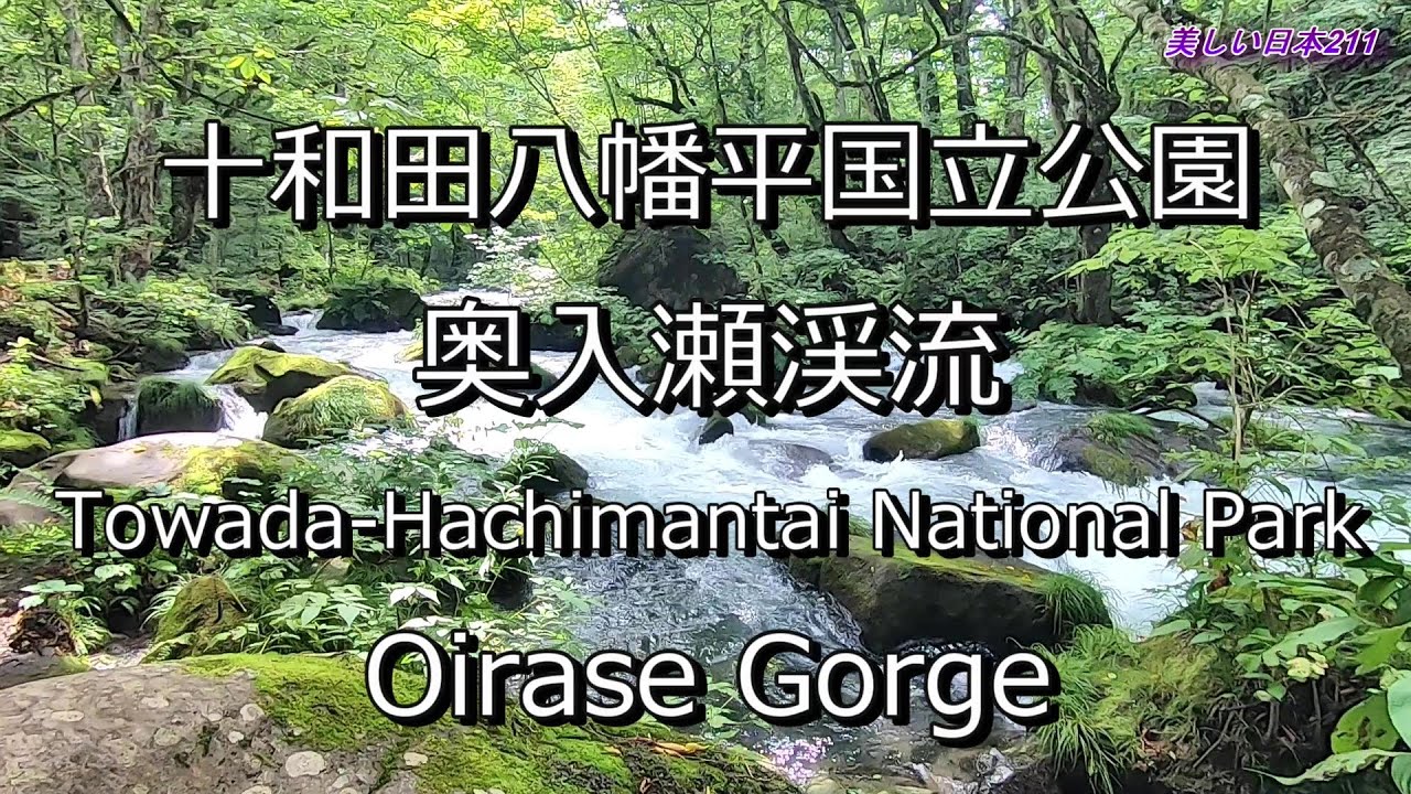 奥入瀬渓流 Oirase Gorge