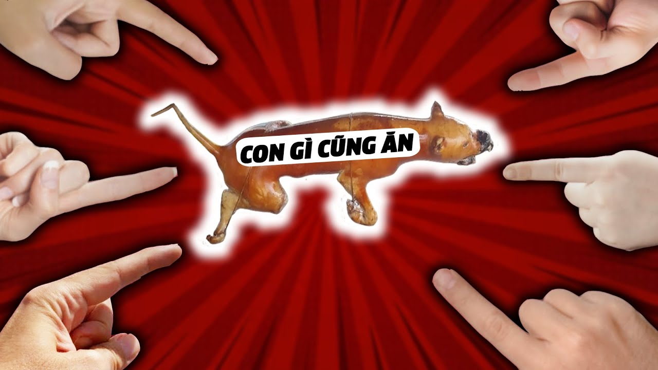 Tại sao người Việt Nam cứ con gì 