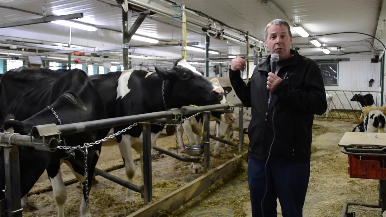 Agrandissement d'étable à la ferme Clerval ‬