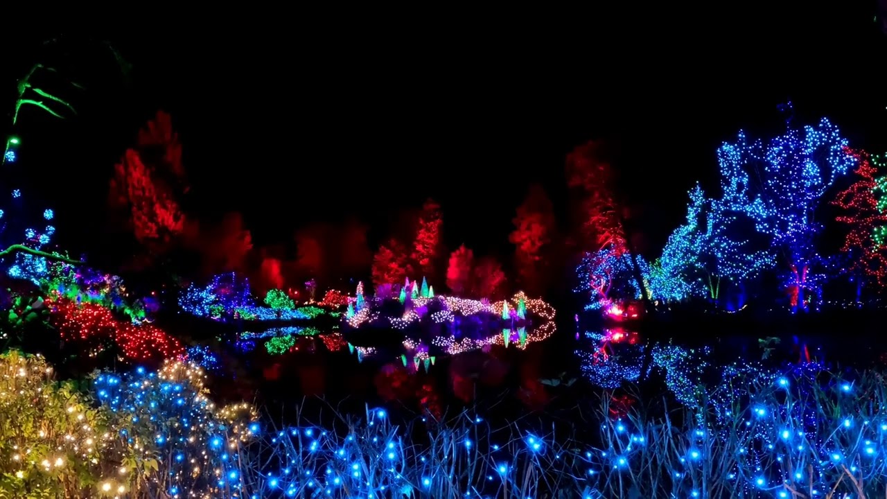VanDusen Botanical Garden - Holiday Lights! 2025 #relaxing #christmas #vancouver #calm 