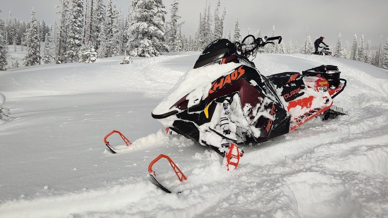 Snow? What snow?