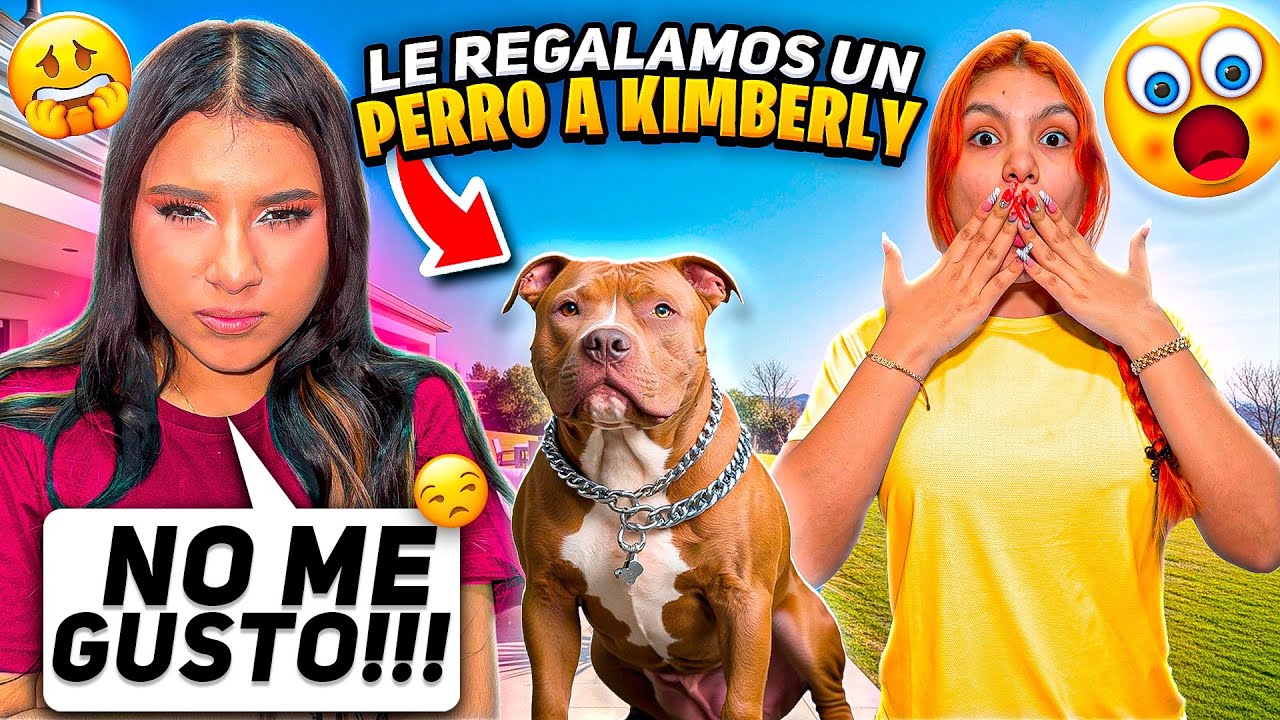 LE REGALAMOS UN PERRO A KIMBERLY y así fue su reacción 🐶😱