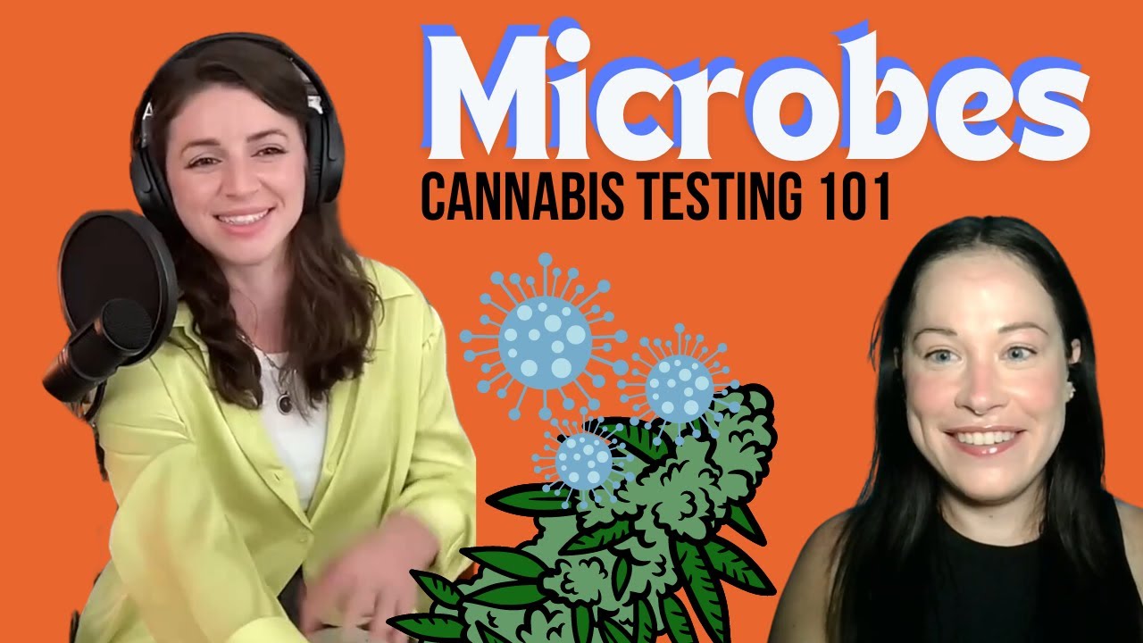 An introduction into cannabis testing for microbials (bacteria and fungi)