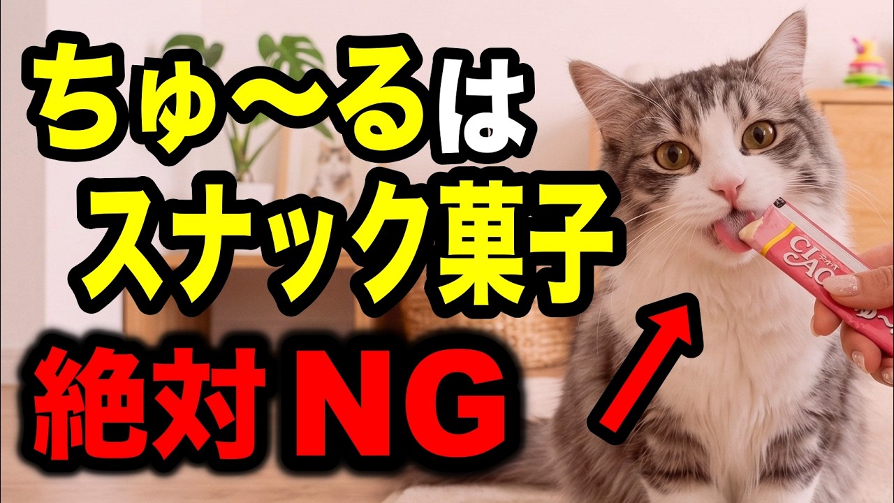 ちゅ〜るはスナック菓子？こう言う獣医師を信じてはいけない【猫の食事がわかる本⑲ P61-62】