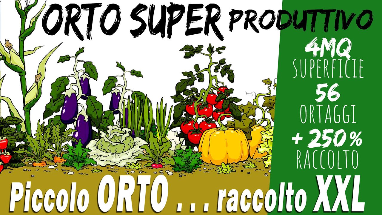 Il mio ORTO SUPER PRODUTTIVO | Un ESPERIMENTO 