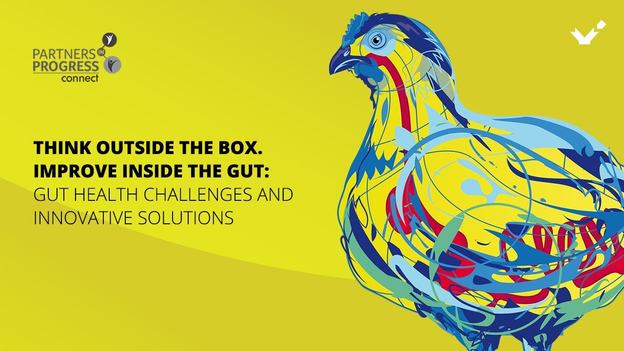 Think outside the box &ndash; improve inside the gut: Gut health challenges and innovative solutions