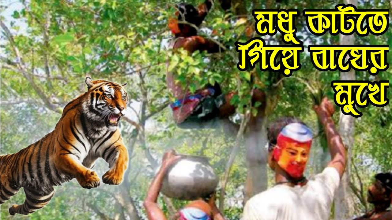 বাঘের মুখে আগুন ঢুকিয়ে দিল | Tiger attack story | Sundarban tiger attack | Sundarban honey