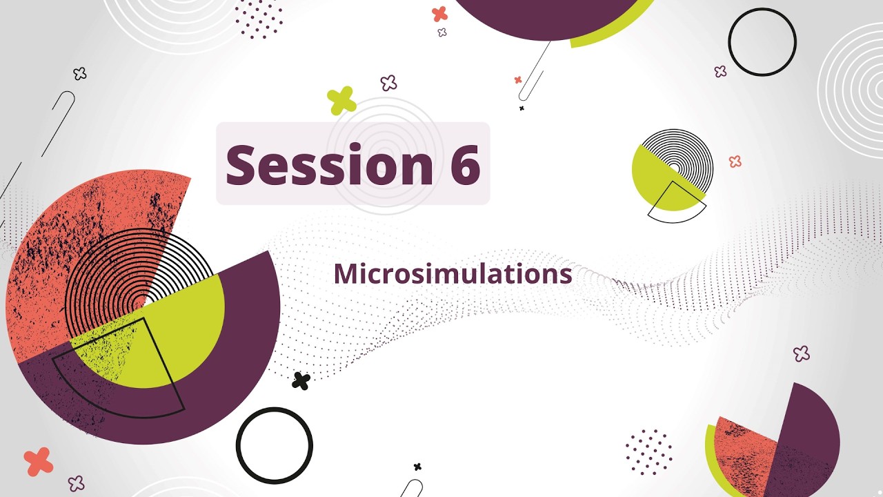 Session 6 : Microsimulations