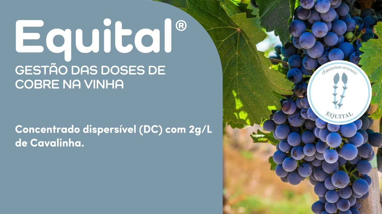 EQUITAL® - Gestão das doses de cobre na vinha