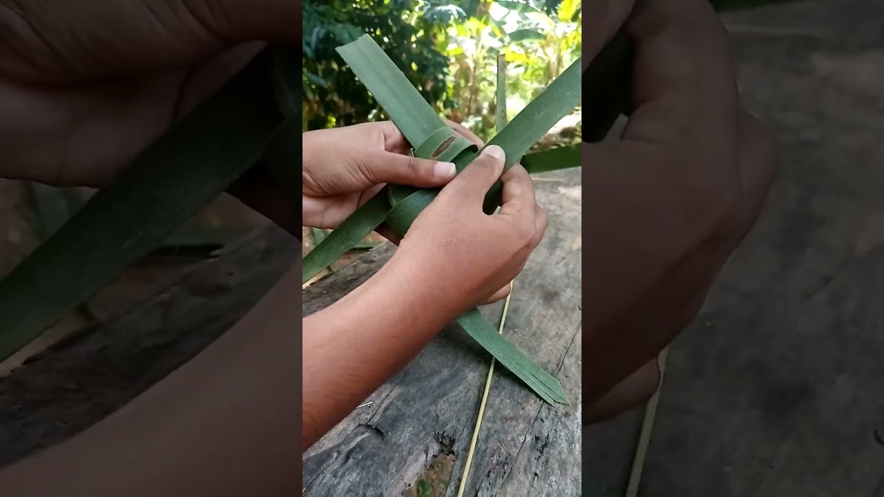 Making coconut leave pin wheel #short