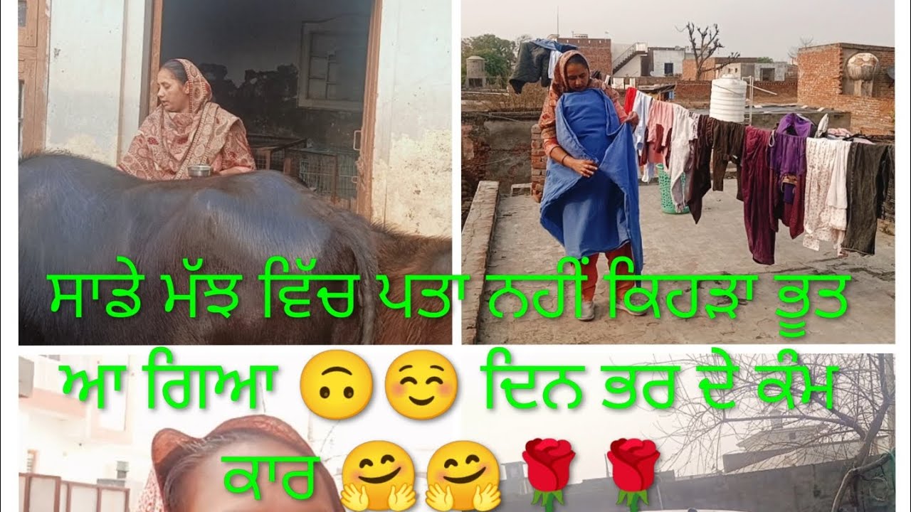 ਸਾਡੀ ਮੱਝ ਵਿੱਚ ਪਤਾ ਨਹੀਂ ਕਿਹੜਾ ਭੂਤ ਆ ਗਿਆ ☺️☺️🙃 ਦਿਨ ਭਰ ਦੇ ਕੰਮਕਾਰ ☺️🤗🌹🥰