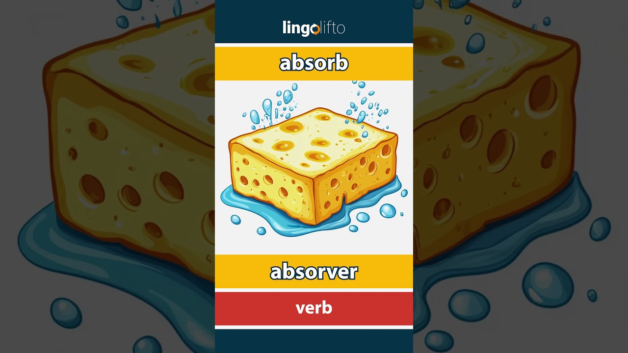 🇬🇧🇵🇹 absorb - absorver : vocabulary builder : learn English : vamos aprender ingl&ecirc;s