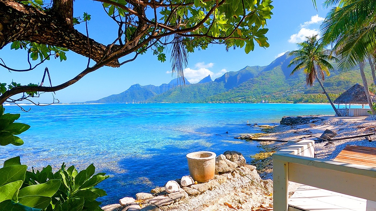 Tropical Heaven: Moorea Relaxation in 4K