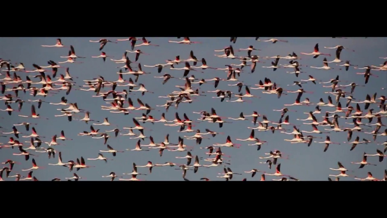 O Estuario do Tejo