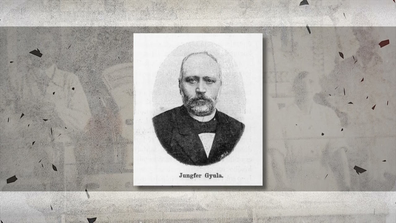 Jungfer Gyula &eacute;lete (Ferencv&aacute;rosi s&eacute;t&aacute;k) - 9Tv