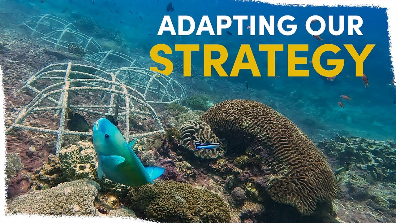 How we're tackling the challenges at our fourth coral restoration site | VLOG
