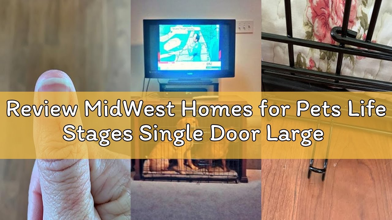 Review MidWest Homes for Pets Life Stages Single Door Large Folding Metal 106.68cm Long Dog Crate wi