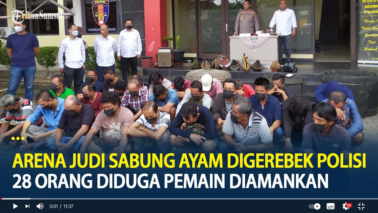 Arena Judi Sabung Ayam Digerebek Polisi, 28 Orang Diamankan