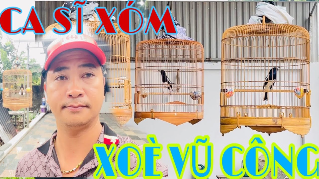 XOÈ KHÁ BẢNH // HÀNG CHÂN QUÊ // MẦM NON TƯƠNG LAI // CAFE MÓC SỐ#chimcanhphuonghieu #thinhhanh