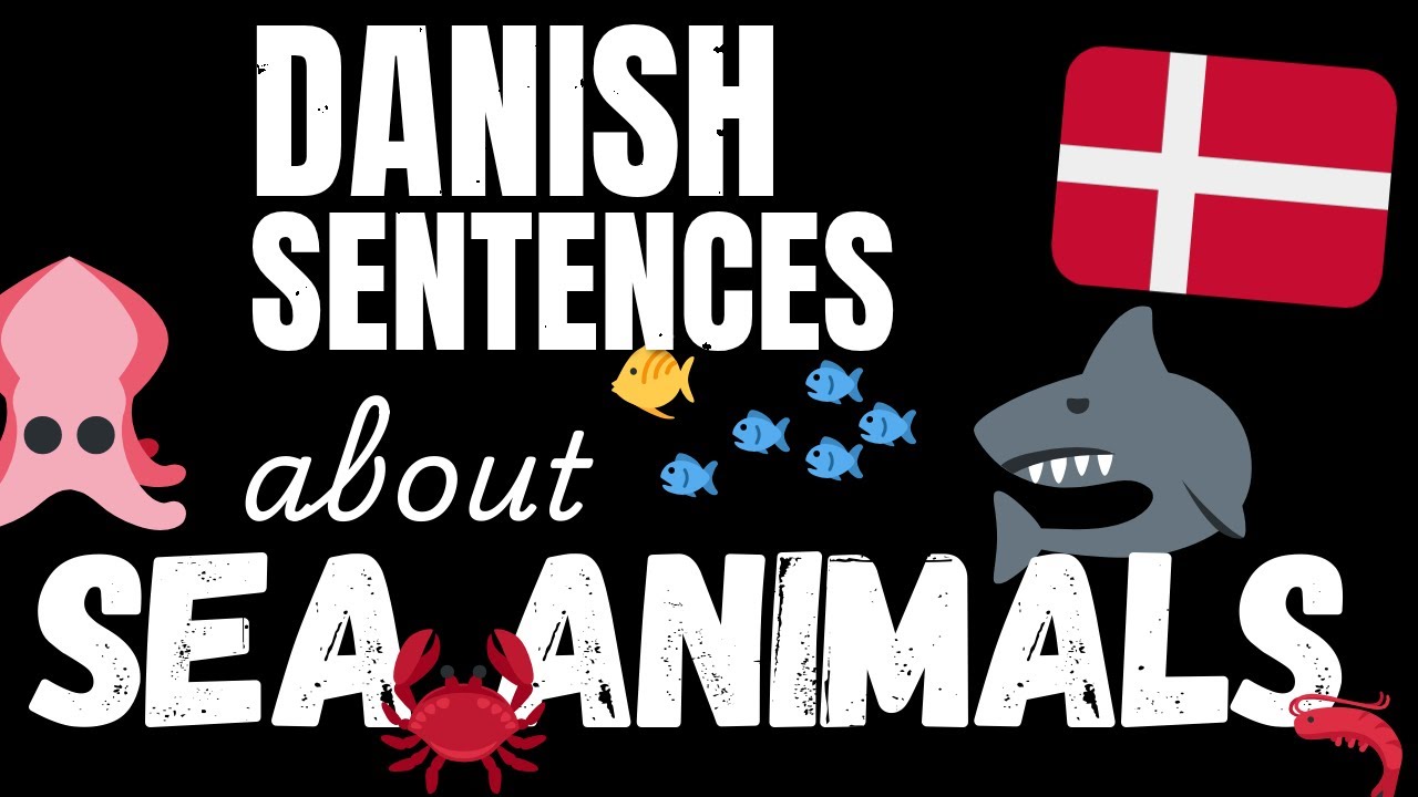 200 B1 Danish sentences - Marine Animals | Learn Intermediate Danish vocabulary