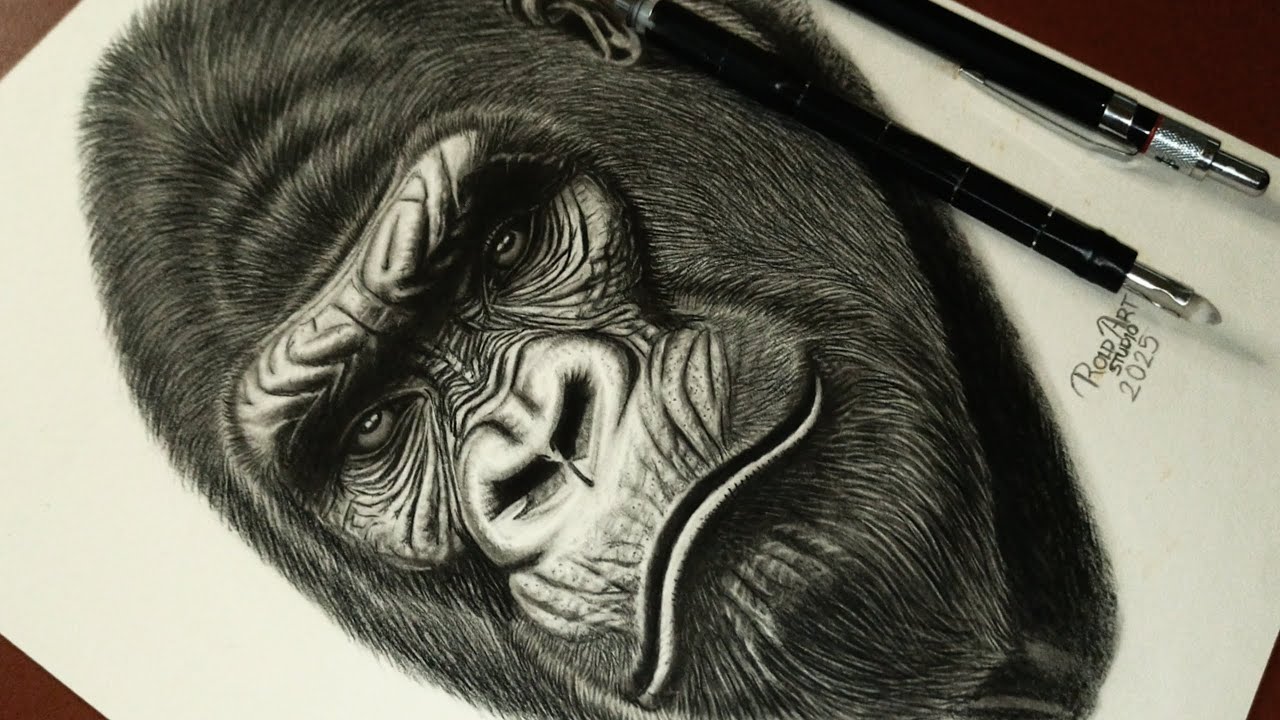 How to Draw a Realistic Gorilla Face Easily | Simple Techniques to Shade a Gorilla Face & Hair