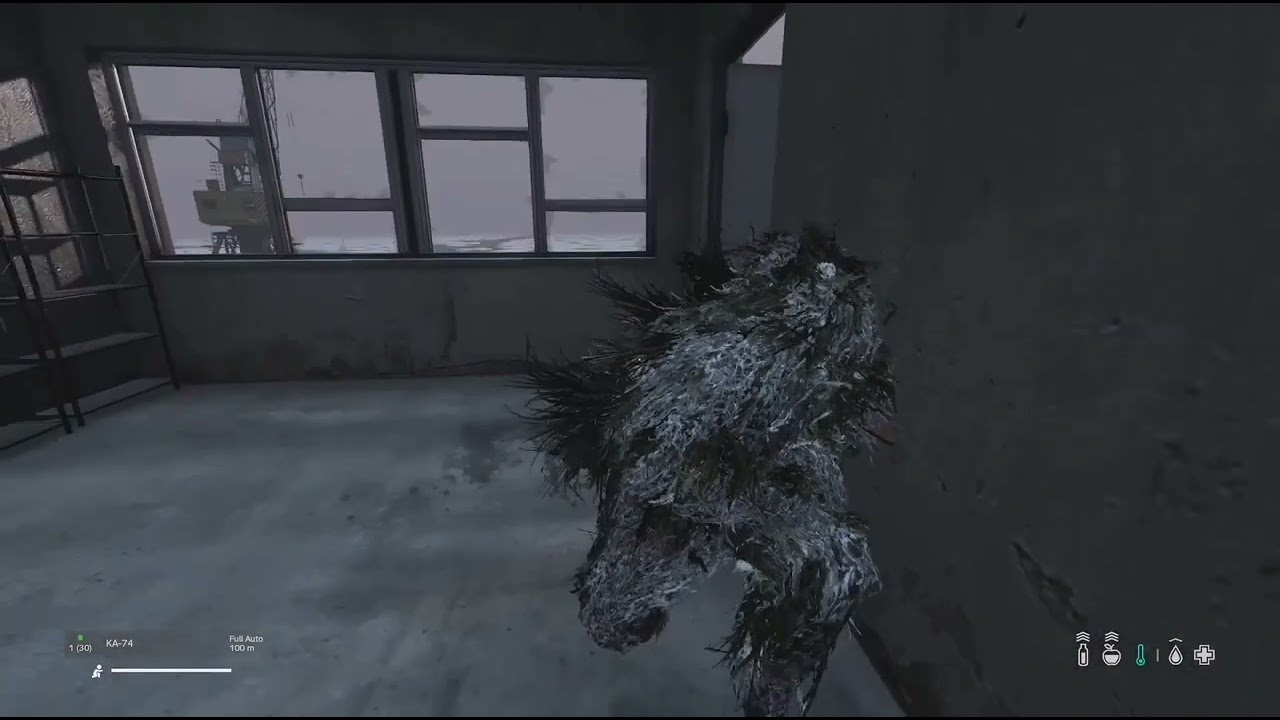 Old dayz clips 🎥